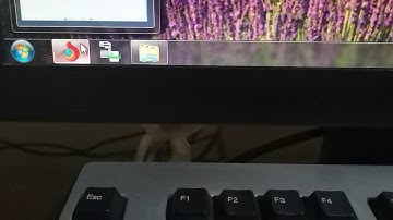 How to fix Chrome / Torch black screen 100% works for old pc or windows. 2020