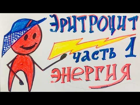 Эритроцит. Где взять энергию? Биохимия