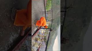 இமயமலையில்  ஆலங்கட்டி மழை