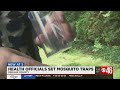 Health officials set mosquito traps