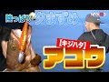 【アコウ初場所攻略】初めての場所へ行った瀬戸内を代表する2人。初場所をどう攻略していくのか?【地球遊び#114】