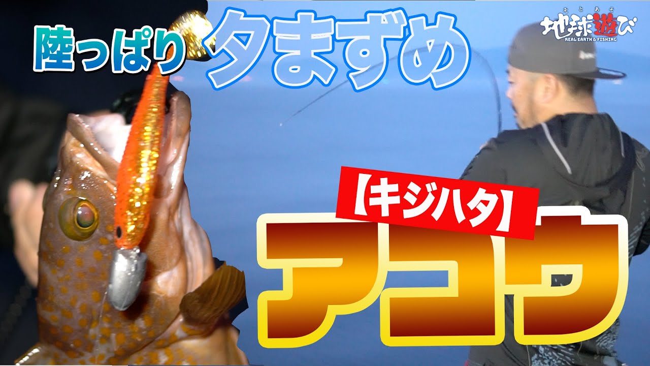 【アコウ初場所攻略】初めての場所へ行った瀬戸内を代表する2人。初場所をどう攻略していくのか？【地球遊び#114】