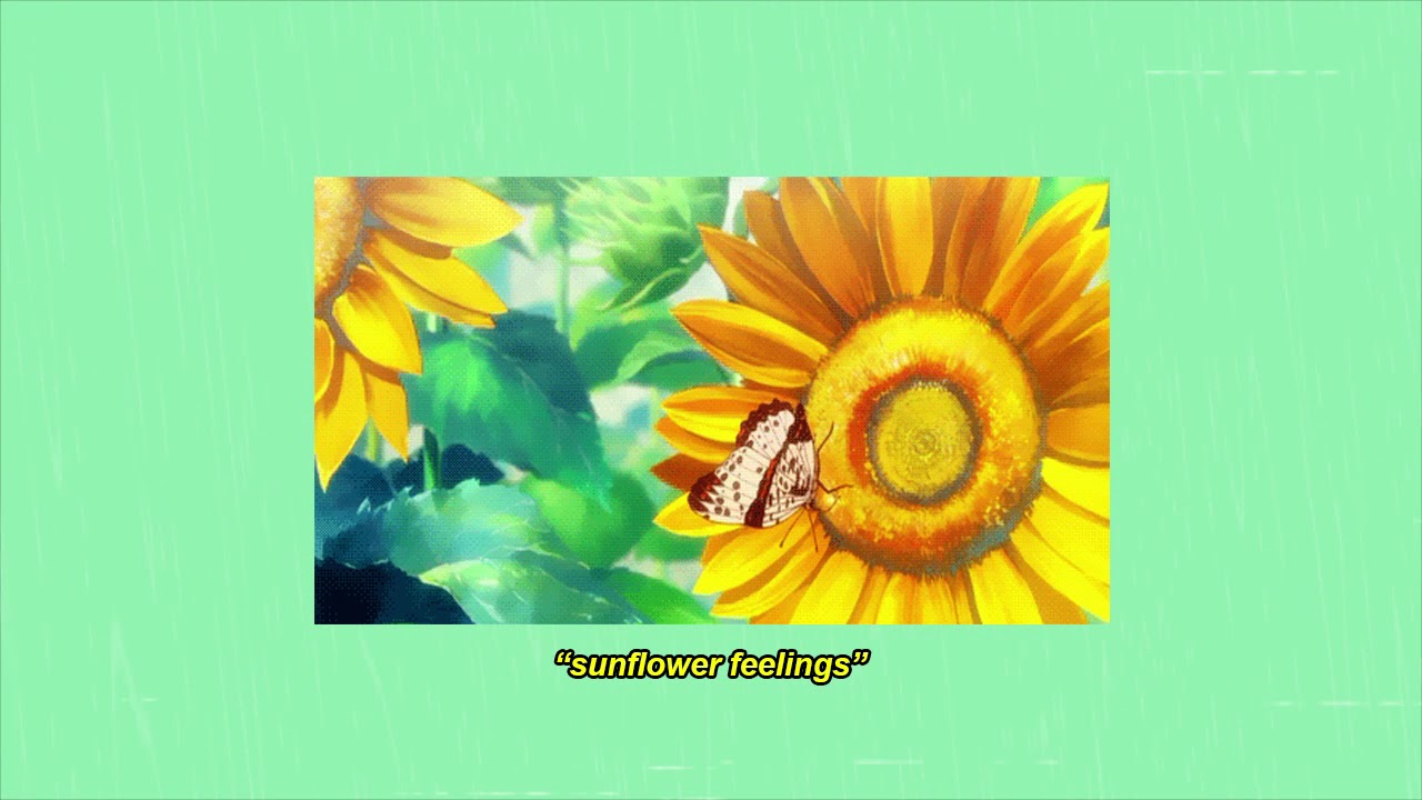 Kuzu Mellow   sunflower feelings prod by korou