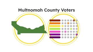 Your vote, your voice: Learn how to rank your choice