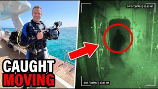 6 Shipwreck Divers Whose Cameras Found Something Still Moving Inside