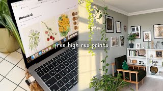Free High Resolution Art Prints | Renter Friendly Wall Decoration Under 10 Dollars 🖼️