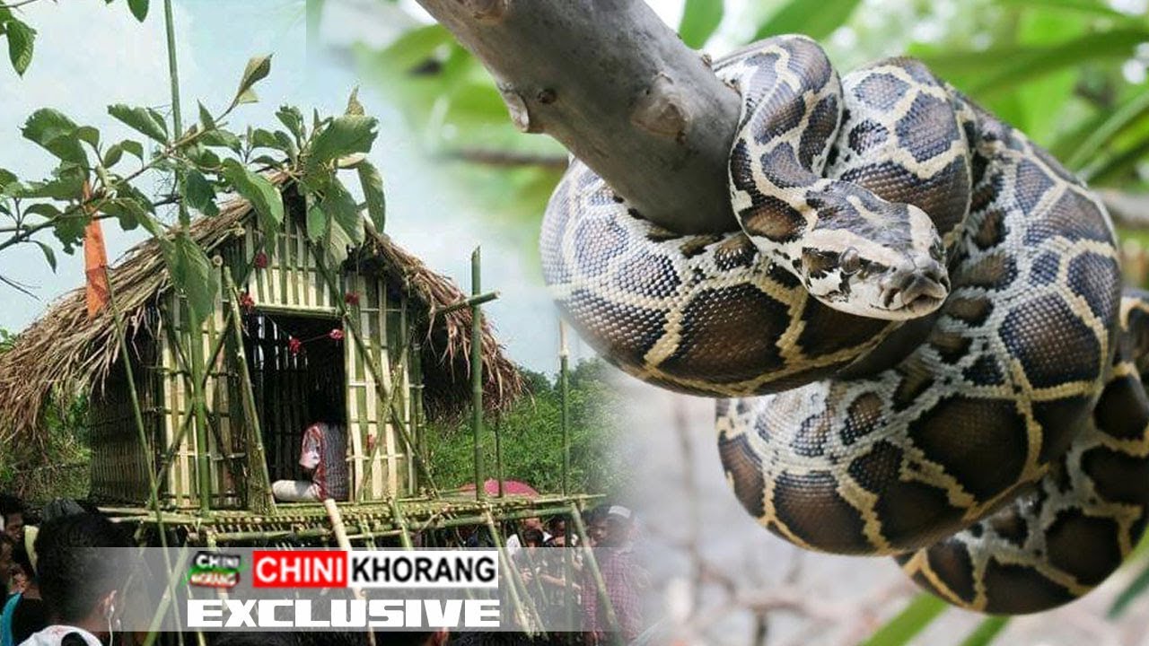 || Phailiya Kumui || Nukliya Raima Saimani Musleno Lukurok ||