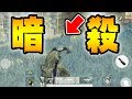 【荒野行動】クロスボウ×ギリースーツでドン勝！最強の隠密行動でスクワッドも一網打尽！計12キルデュオ