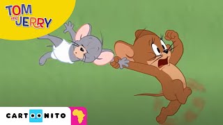 Tom & Jerry Show | Eternal Chase | Boomerang Africa Tom & Jerry Show | Eternal Chase | Boomerang Africa