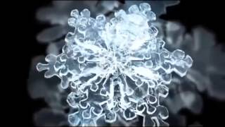 Water: The Great Mystery Trailer