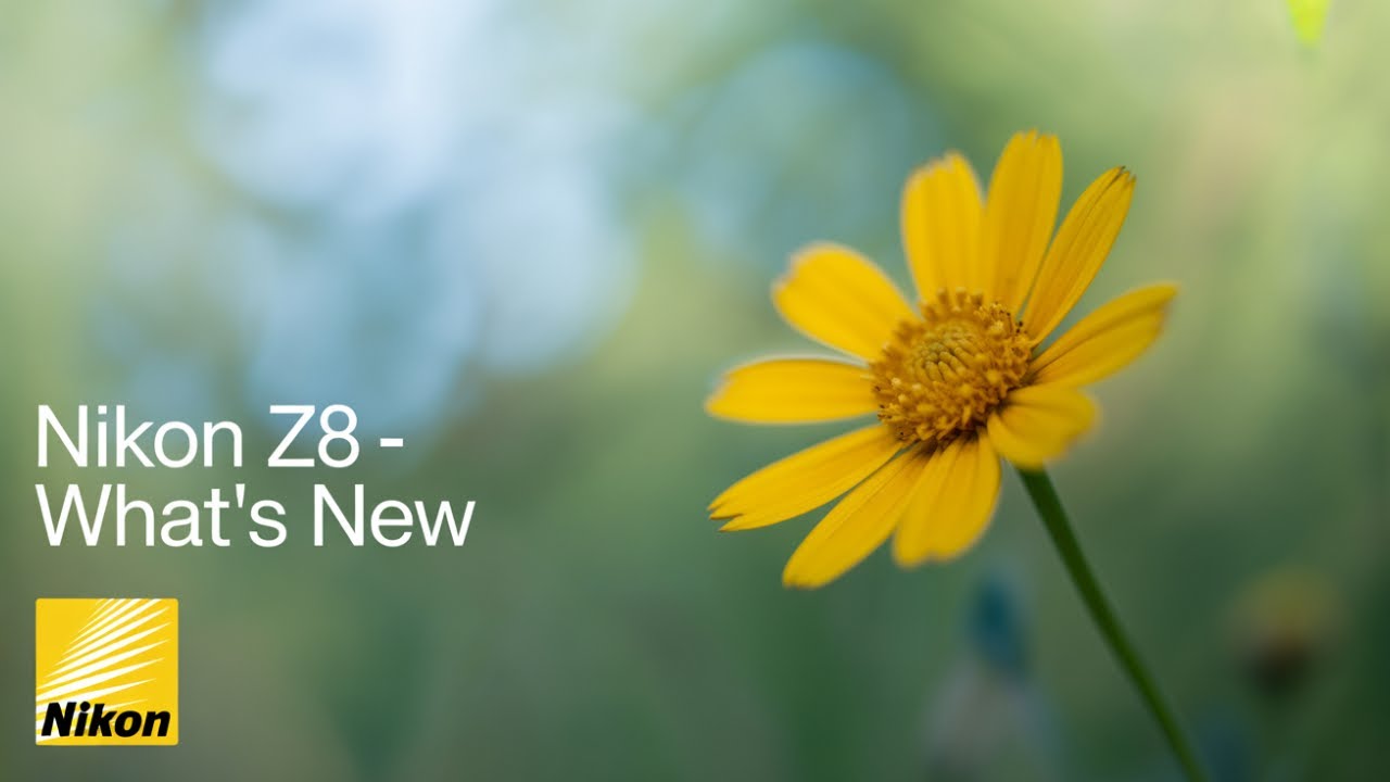 NIKON Z8 Autofocus is INSANE - Cycle Area AF