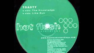 Toasty - The Knowledge (TheseGuys! Remix)