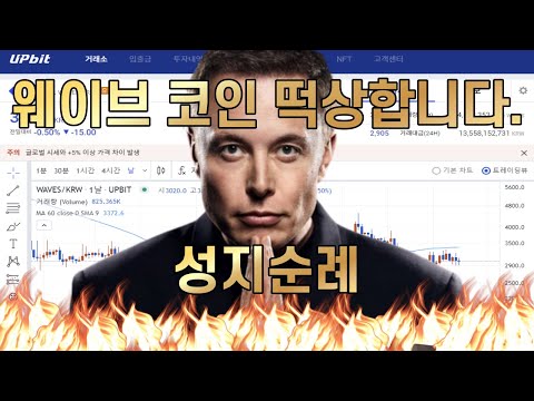 웨이브 코인 곧 떡상한다 Feat 제2의 누사이퍼 업비트 상폐 유의 상장폐지 차트 전망 분석 세력 