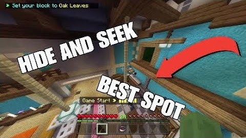 OP Hide and Seek spot - Hive