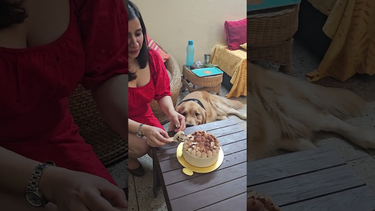 Happy Birthday Sweetheart 🎂 🥳 