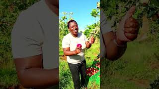 Happy Happy Birthday To Me