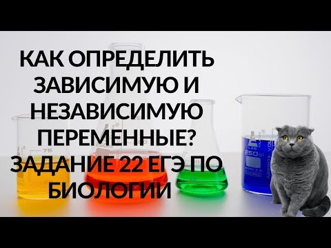 Видео: Что такое зависимая переменная в науке?