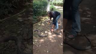 Download Lagu tuh kan cuman mau bantu ganti kulit MP3