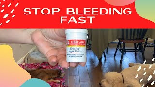 Stop Dog Nail Bleeding With Kwik Stop