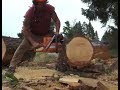 CHAIN SAWS RACING, WHICH MUFFLER BRINGS THE POWER