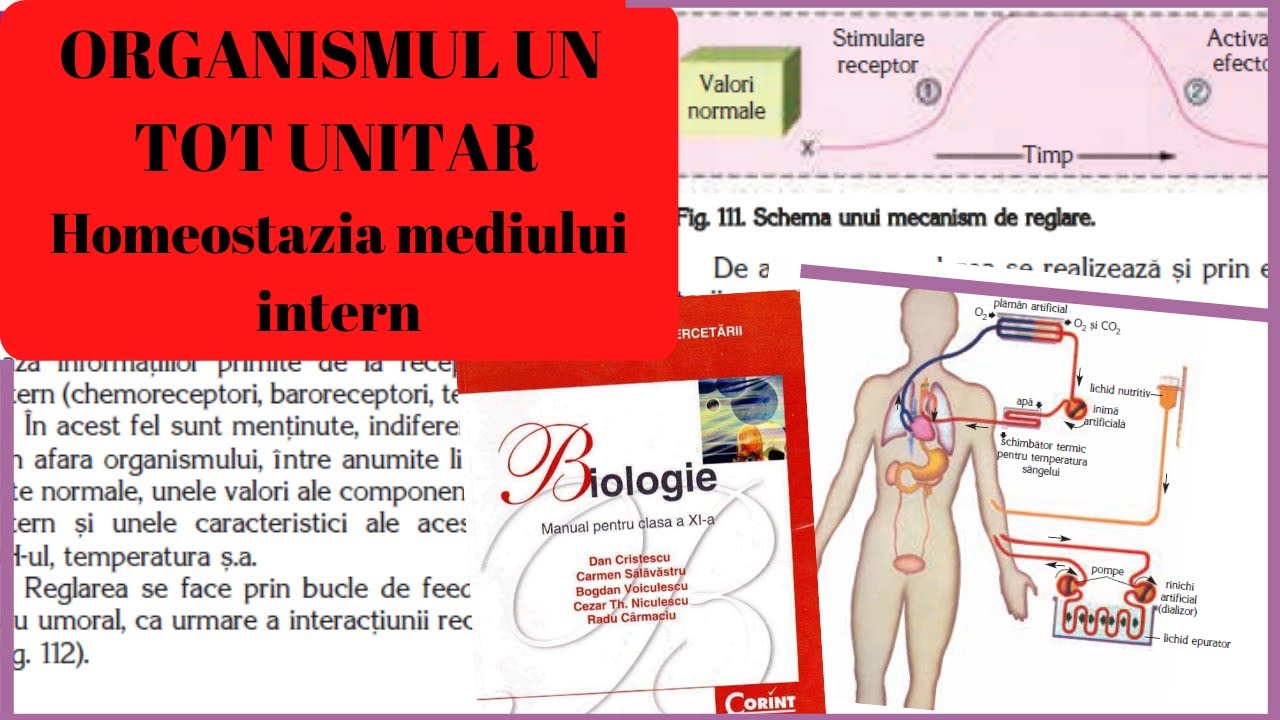 țesutul cartilaginos se referă la țesutul conjunctiv)