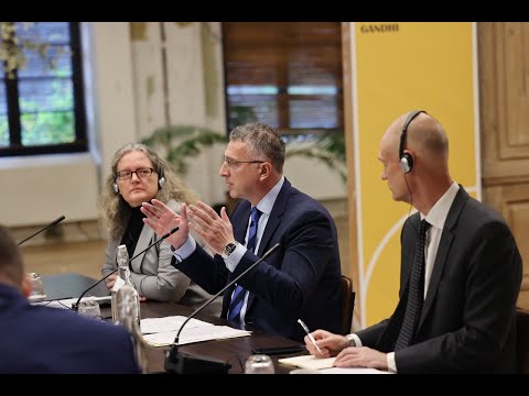 მდგრადი განვითარების მიზნების უწყებათაშორისი საბჭო