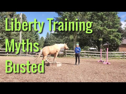 Video: Leading A Hot Horse To Water: Debunking The Myth
