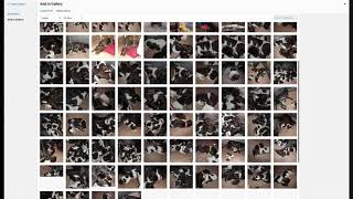 Adding images to an image gallery | WordPress using Enfold Theme