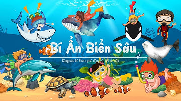 Biển sâu huyền bí | Bé Học Tên Các sinh vật biển| Hải quỳ, sên biển, cá ngừ, cá heo, cá mập, cá voi