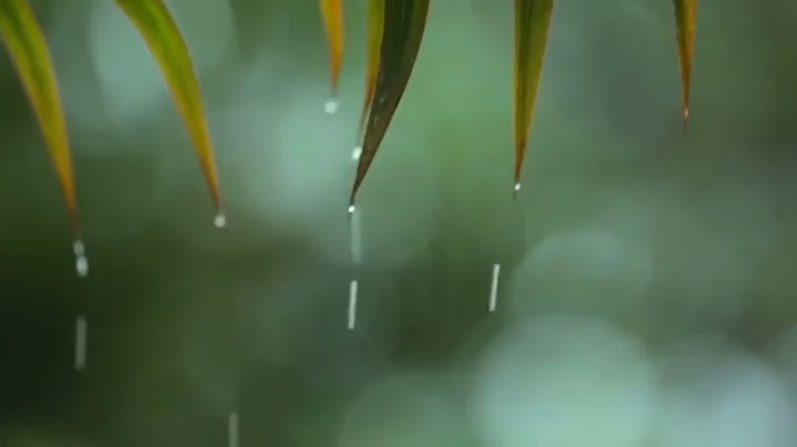 You & Me - Relaxing Piano Music & Soft Rain Sounds For Sleep & Relaxation