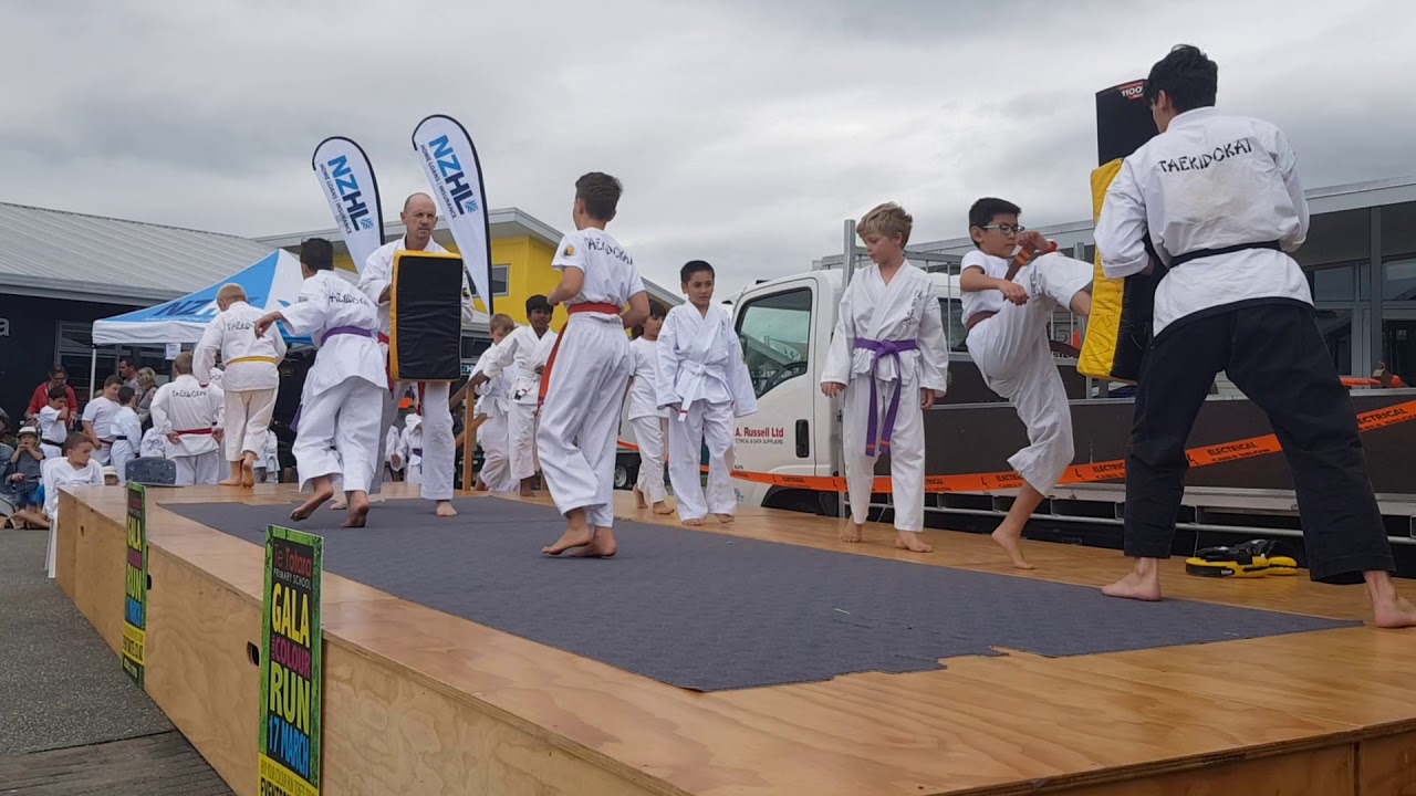 Taekidokai Martial Arts Hamilton 2