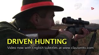 Trailer:  Driven hunting in Hungary / English language