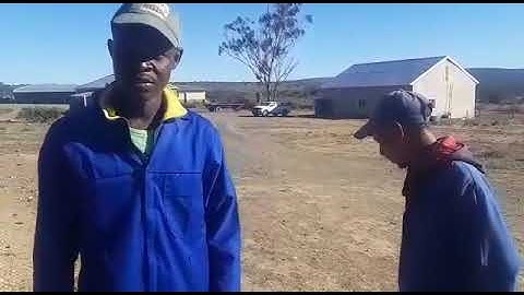 Sal nie kak praat met die baas, ek werk vir die baas😂