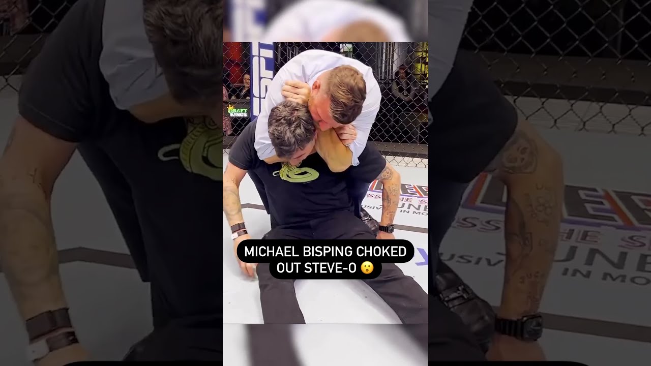 Michael Bisping Choked Out Steve O Wait Til He Wakes Up Shorts