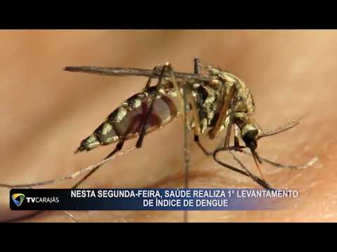 Nesta segunda-feira saúde realiza 1° levantamento de índice de dengue