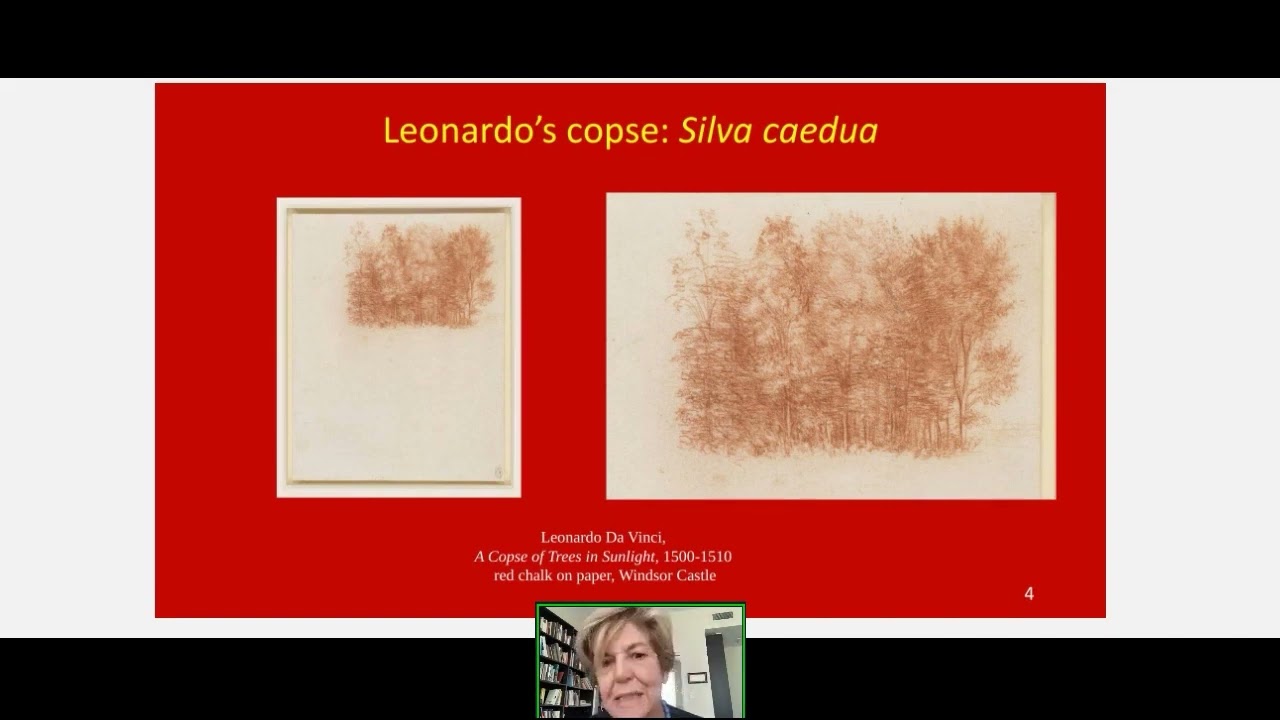 Online book launch: 'Woodland Imagery in Northern Art'