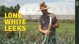 Top 3 Tricks For Growing Amazing LEEKS!