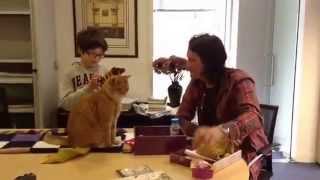 Matteo meets Street Cat Bob & James Bowen