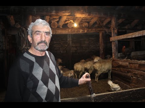 ბოსელი მიწისქვეშ