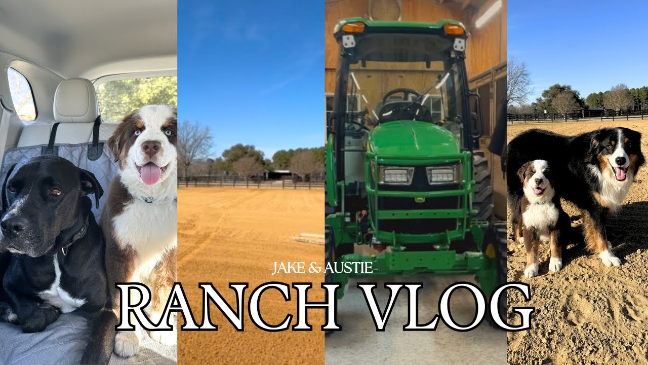 Youtube Ranch's VLOG: day in the life at the ranch! - YouTube