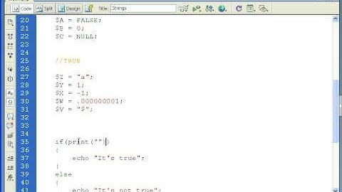 PHP Tutorial - Boolean Data Type