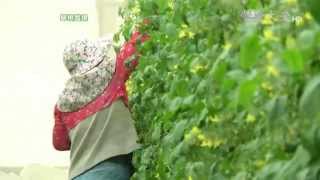 【草根菩提】預告 - 20150403 - 368出去走走 - 民雄草地情