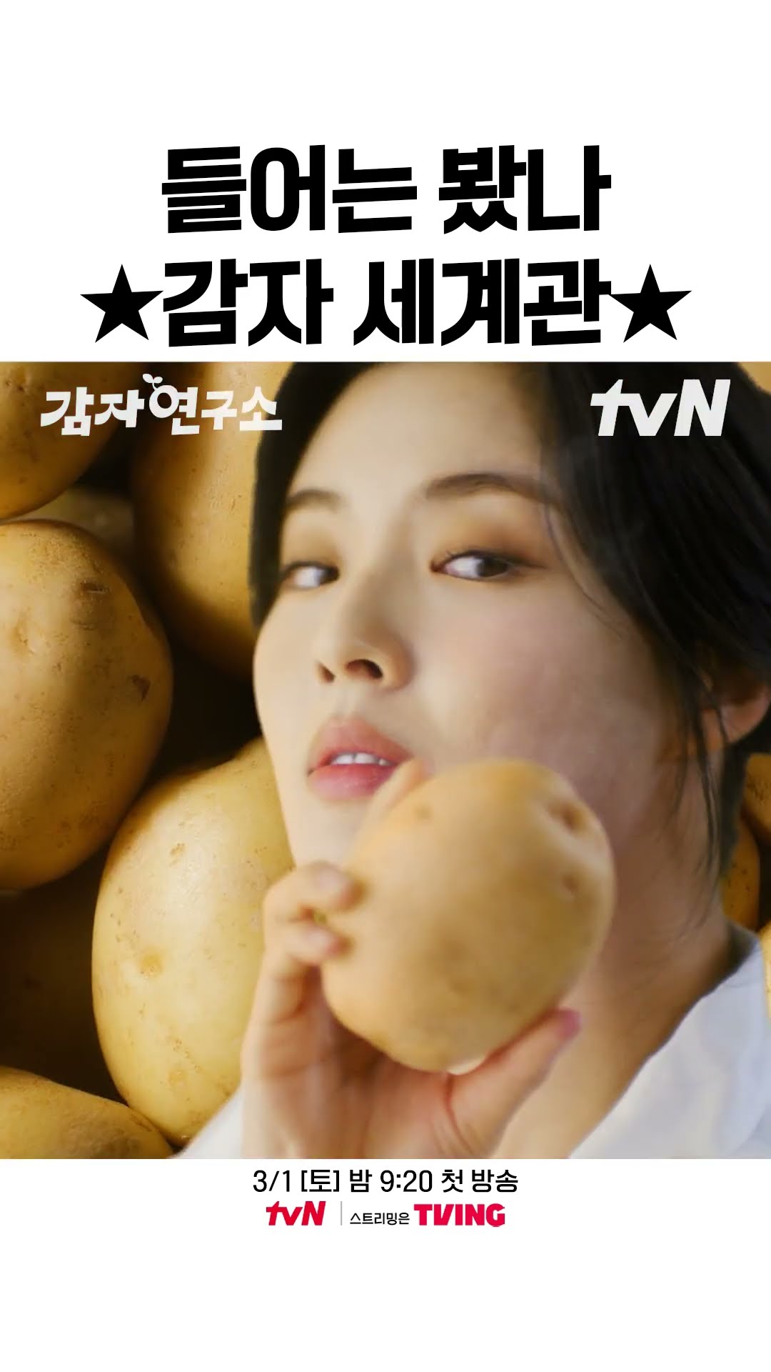 충격‼ 감자 세계관 실존? #감자연구소