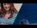 TerraPi: Любовь. Как жить дальше?