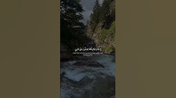 (ان الله وملائكته يصلون على النبي…) سورة الاحزاب بصوت القارئ ناصر القطامي #quran #حالات_واتس #قرآن