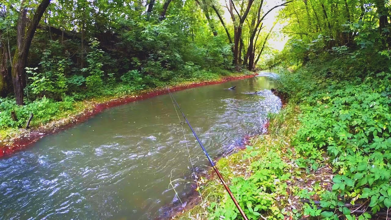 На микро-речку с нано-джигом и вертушками! Река с красными берегами! Елец на спиннинг!