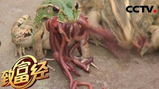 【The Riches】20171204 | CCTV Military