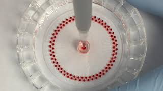 シングルセル分注・培養プレート Smart Aliquotor サンプル注入動画