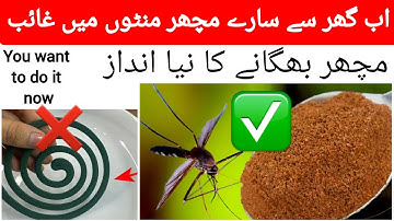 Mosquitoes disappear Immedlately In 1 minute forever! Machar bhagane ka tarika |free organic recipe!