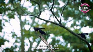 Donde está la noticia está Misael 